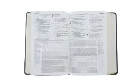 ESV Gospel Transformation Bible 11 ESV Gospel Transformation Bible -Books-Bible 204 0151 4