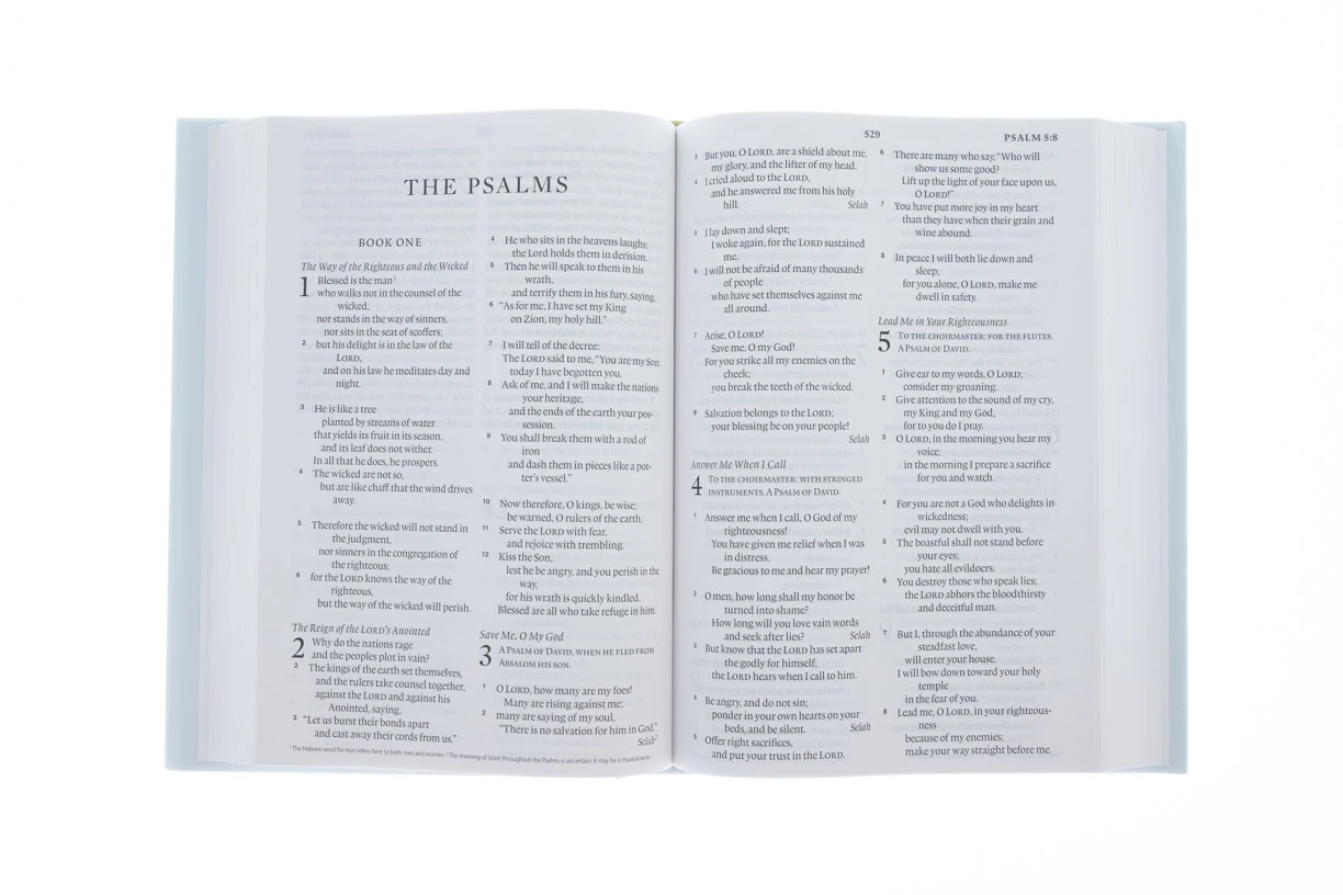 ESV Large Print Bible Blue/Light Blue Hardcover 4 ESV Large Print Bible Blue/Light Blue Hardcover - Image 2