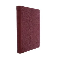ESV Premium Gift Bible (TruTone, Ruby, Vine Design)