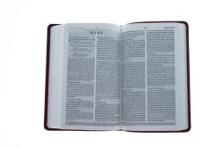 ESV Premium Gift Bible (TruTone, Ruby, Vine Design) -Books-Bible 204 0193 4 1