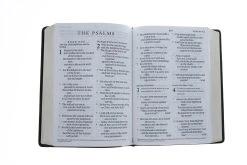 ESV Giant Print Bible (Trutone, Deep Brown) -Books-Bible 204 0194 3