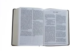 ESV Giant Print Bible (Trutone, Deep Brown) -Books-Bible 204 0194 4