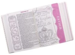 ESV Pink Floral My Creative Journalling Bible For Girls -Books-Bible 204 0197 4