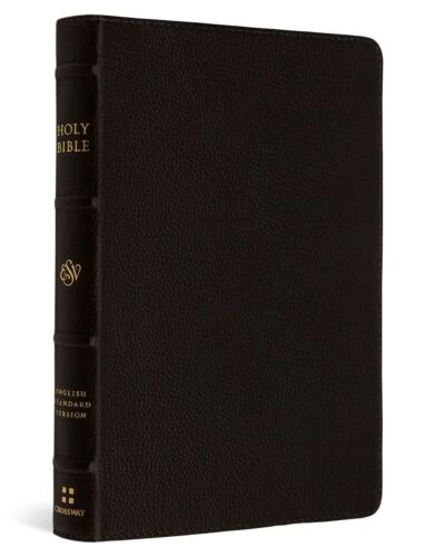 ESV Compact Bible (Buffalo Leather, Deep Brown) 3 ESV Compact Bible (Buffalo Leather, Deep Brown)