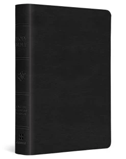 ESV Large Print Compact Bible (Trutone, Black)