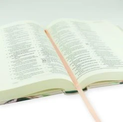 ESV Journaling Bible – Paris Theme -Books-Bible 204 0210 4