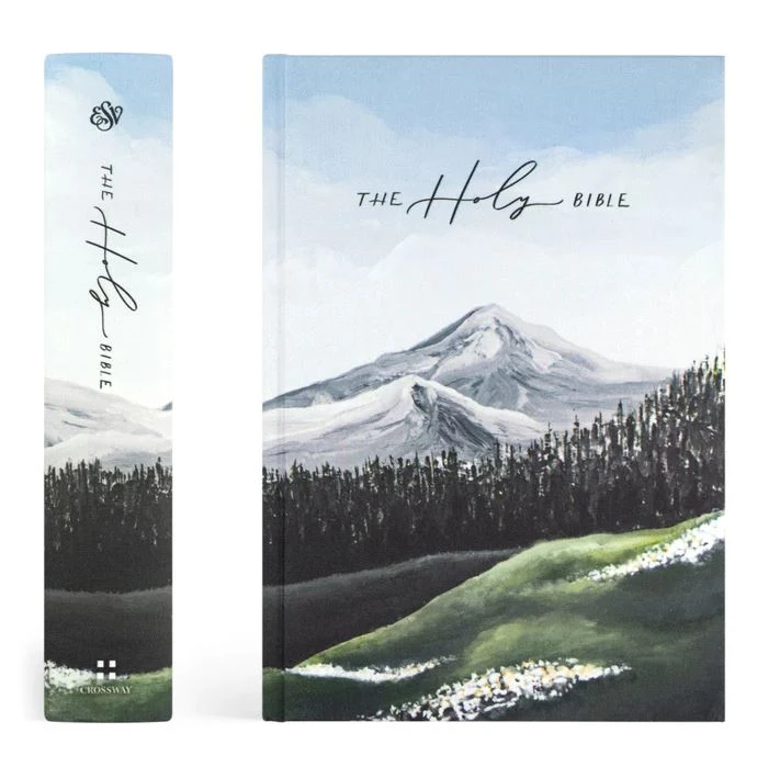 ESV Large Print Journaling Bible – Salzburg Theme 5 ESV Large Print Journaling Bible – Salzburg Theme - Image 3