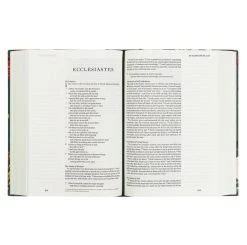 ESV Large Print Journaling Bible – Hollis Theme -Books-Bible 204 0215 4