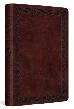 ESV Compact Bible (TruTone, Mahogany, Border Design)