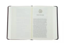 ESV Story Of Redemption Bible: Burgundy/Red, TruTone, Timeless -Books-Bible 204 0443 2