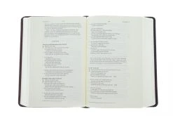 ESV Story Of Redemption Bible: Burgundy/Red, TruTone, Timeless -Books-Bible 204 0443 3