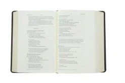 ESV Story Of Redemption Bible: Brown, TruTone -Books-Bible 204 0444 4 1