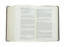 ESV Story Of Redemption Bible: Brown, TruTone -Books-Bible 204 0444 5 1