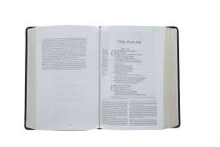 ESV Gospel Transformation Study Bible-Deep Brown TruTone -Books-Bible 204 0462 4