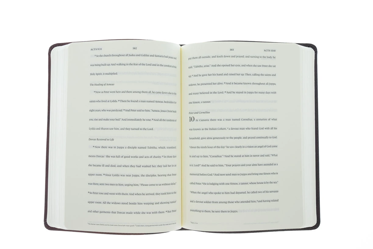 ESV Journaling New Testament- Burgundy/Red Timeless Design TruTone 6 ESV Journaling New Testament- Burgundy/Red Timeless Design TruTone - Image 4