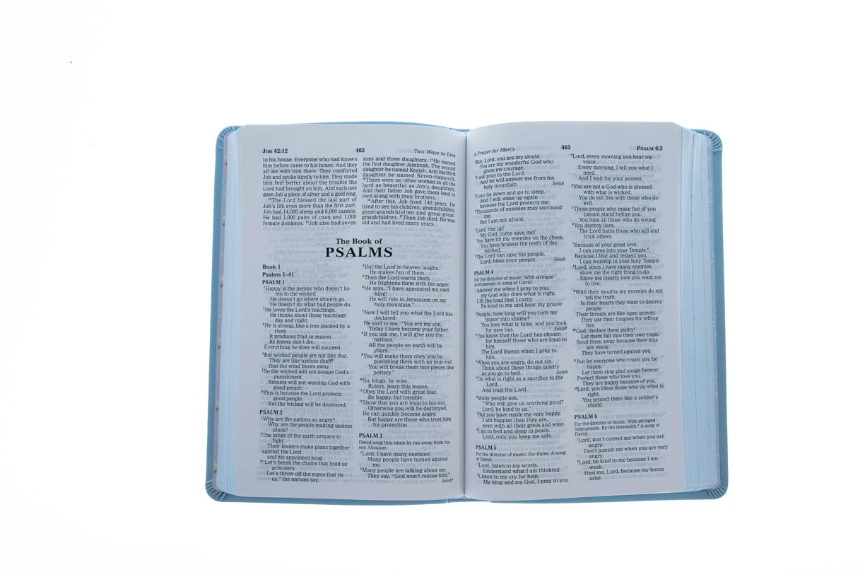 ICB Precious Moments Holy Bible – Blue Edition Imitation Leather 5 ICB Precious Moments Holy Bible – Blue Edition Imitation Leather - Image 3