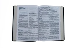 KJV, Large Print Verse-By-Verse Reference Bible, MacLaren Series, Leathersoft, -Books-Bible 206 0007 3