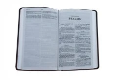 KJV Thinline Bible, Standard Print, Imitation Leather, Brown, -Books-Bible 206 0059 3 1