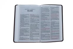KJV Thinline Bible, Standard Print, Imitation Leather, Brown, -Books-Bible 206 0059 4 1