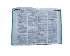 KJV Kids Study Bible Flex Purple Green -Books-Bible 206 0124 3 1