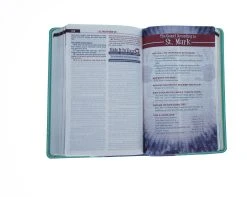 KJV Kids Study Bible Flex Purple Green -Books-Bible 206 0124 4 1