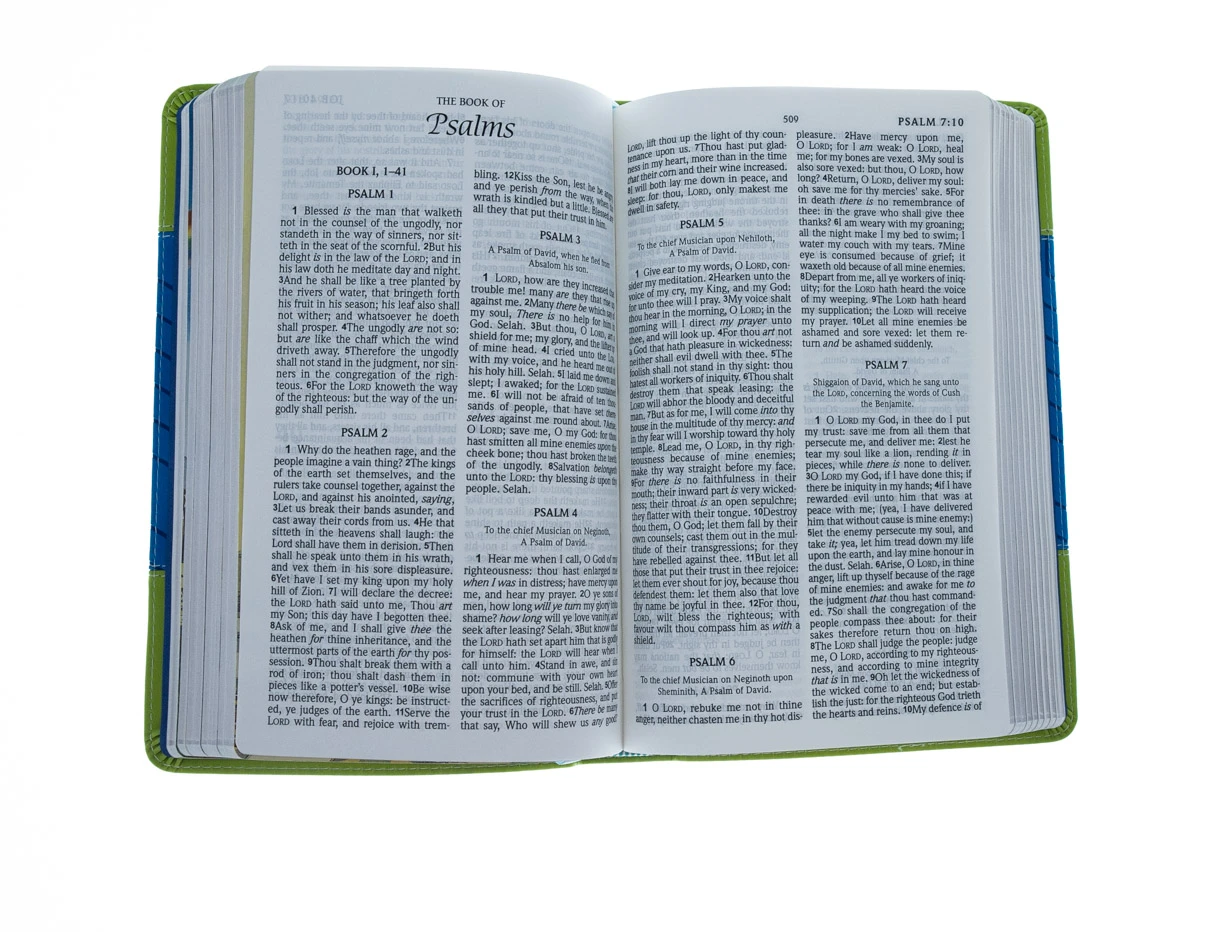 KJV Kids Bible Flexisoft Blue & Green 5 KJV Kids Bible Flexisoft Blue & Green - Image 3