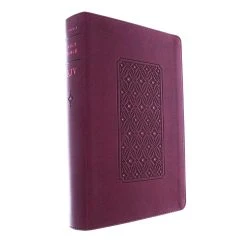 KJV Personal Size Giant Print Bible, Filament Enabled Edition -Books-Bible 206 0198 2 1