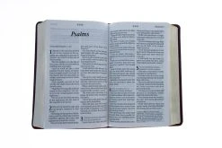 KJV Personal Size Giant Print Bible, Filament Enabled Edition -Books-Bible 206 0198 3 1