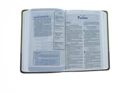 KJV Study Bible For Boys-Olive/Brown LeatherTouch 9 KJV Study Bible For Boys-Olive/Brown LeatherTouch -Books-Bible 206 0426 3