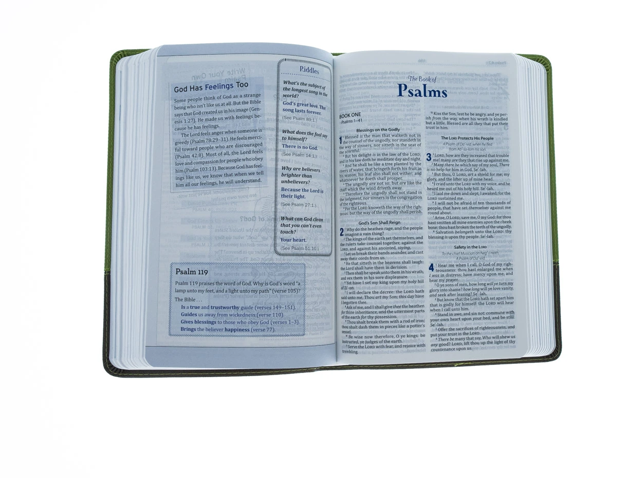 KJV Study Bible For Boys-Olive/Brown LeatherTouch 5 KJV Study Bible For Boys-Olive/Brown LeatherTouch - Image 3