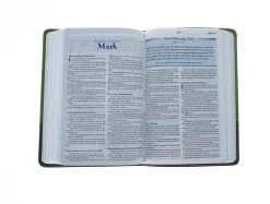 KJV Study Bible For Boys-Olive/Brown LeatherTouch 10 KJV Study Bible For Boys-Olive/Brown LeatherTouch -Books-Bible 206 0426 4