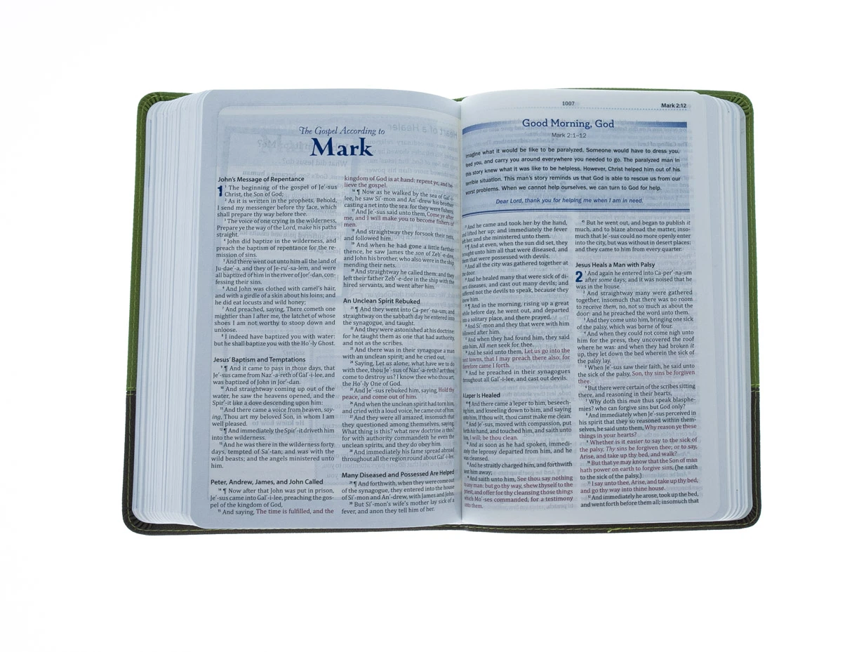 KJV Study Bible For Boys-Olive/Brown LeatherTouch 6 KJV Study Bible For Boys-Olive/Brown LeatherTouch - Image 4