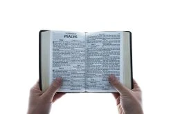 KJV Compact Large Print Lux-Leather Dark Brown -Books-Bible 206 0468 3