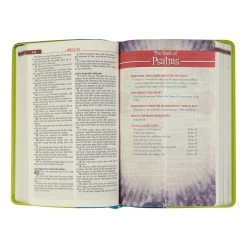 KJV Kids Study Bible Green/Blue Imitation Leather 9 KJV Kids Study Bible Green/Blue Imitation Leather -Books-Bible 206 0621 2