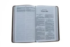 KJV, Thinline Bible Youth Edition, Leathersoft, Brown -Books-Bible 206 0816 3 1