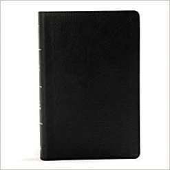 KJV Large Print Personal Size Reference Bible