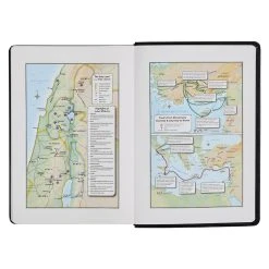 KJV Study Bible, Standard Print Faux Leather Flexcover -Books-Bible 206 0832 4