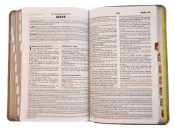 Go-Anywhere KJV Study Bible (Green Pathways) [Thumb-Indexed] -Books-Bible 206 0842 2 1