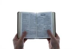 KJV Brown Two-tone Faux Leather Compact Bible -Books-Bible 206 0861 3