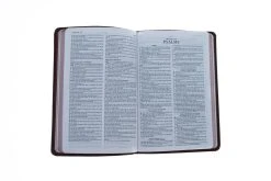 KJV Bible The Go-Anywhere For Young Men [Woodgrain Chestnut] -Books-Bible 206 0862 3