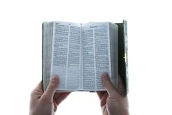 KJV Compact Bible Olive Petals -Books-Bible 206 0865 2