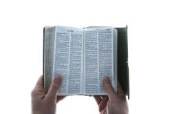 KJV Compact Bible Olive Petals -Books-Bible 206 0865 3