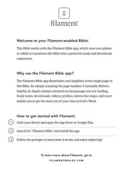 KJV Premium Value Thinline Bible Lavender – Filament Enabled -Books-Bible 206 0900 3