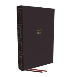 KJV Paragraph-Style Large Print Thinline Bible Thumb Indexed – Black