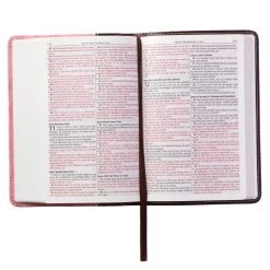 KJV Burgundy And Pink Faux Leather Compact Bible -Books-Bible 206 0990 2