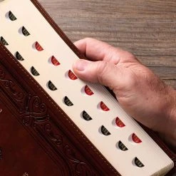 KJV Art Nouveau Framed Saddle Tan Faux Leather Bible – Thumb Index -Books-Bible 206 1004 4