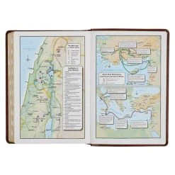 KJV Art Nouveau Framed Saddle Tan Faux Leather Bible – Thumb Index -Books-Bible 206 1004 5