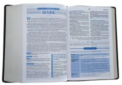 KJV, Charles F. Stanley Life Principles Bible, 2nd Edition, Leathersoft, -Books-Bible 206 1052 4