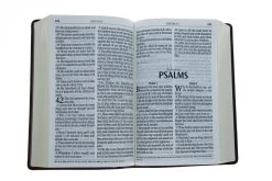 KJV Bible Giant Print Two-Tone Brown -Books-Bible 206 1070 3