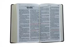 KJV Bible Giant Print Two-Tone Brown